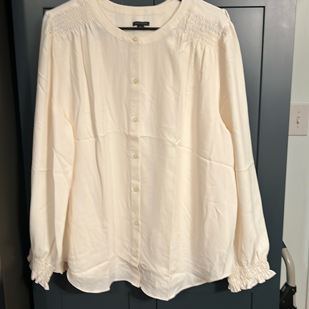 Ann Taylor dress shirt